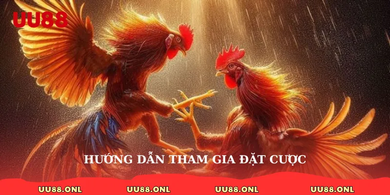 Hướng dẫn tham gia đặt cược