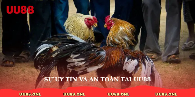 Sự uy tín và an toàn tại uu88